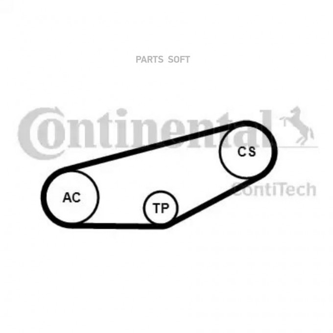 CONTITECH Комплект поликлинового ремня 4PK855K1