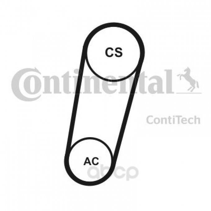 Ремень приводной CONTITECH 5PK705ELASTT1 5PK705T1