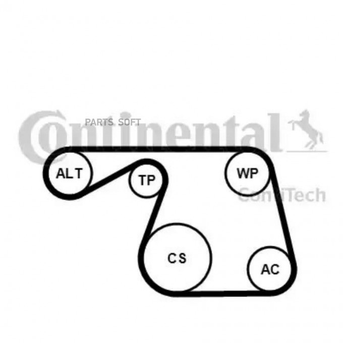 CONTITECH Комплект поликлинового ремня CONTITECH 6PK1310K1