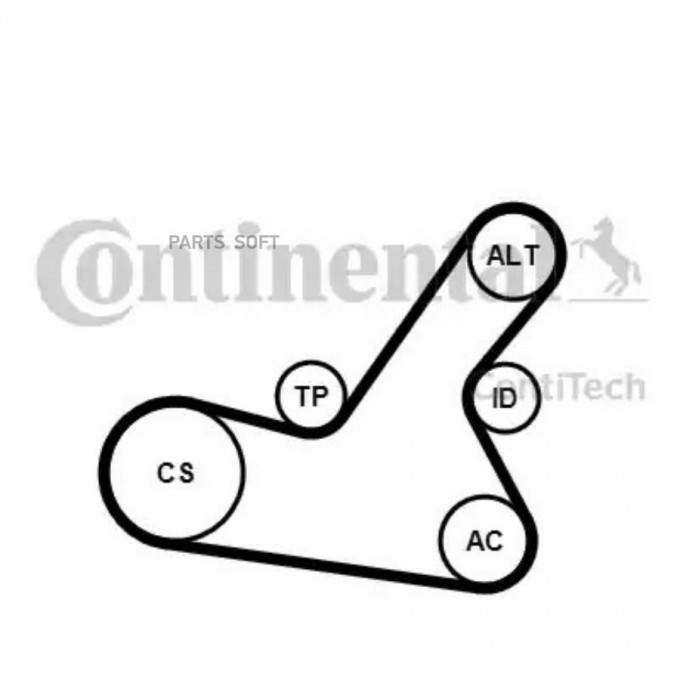 CONTITECH Ремкомплект CONTITECH 6PK1564K2