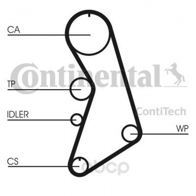 Ремень приводной CONTITECH CT909WP2